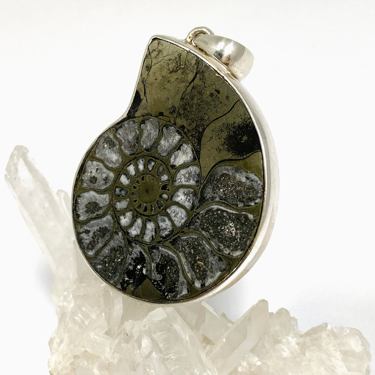 Ammonite Fossilised Shell with Pyrite Freeform Cabochon Pendant PPGJ1325