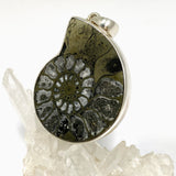 Ammonite Fossilised Shell with Pyrite Freeform Cabochon Pendant PPGJ1325