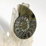 Ammonite Fossilised Shell with Pyrite Freeform Cabochon Pendant PPGJ1325