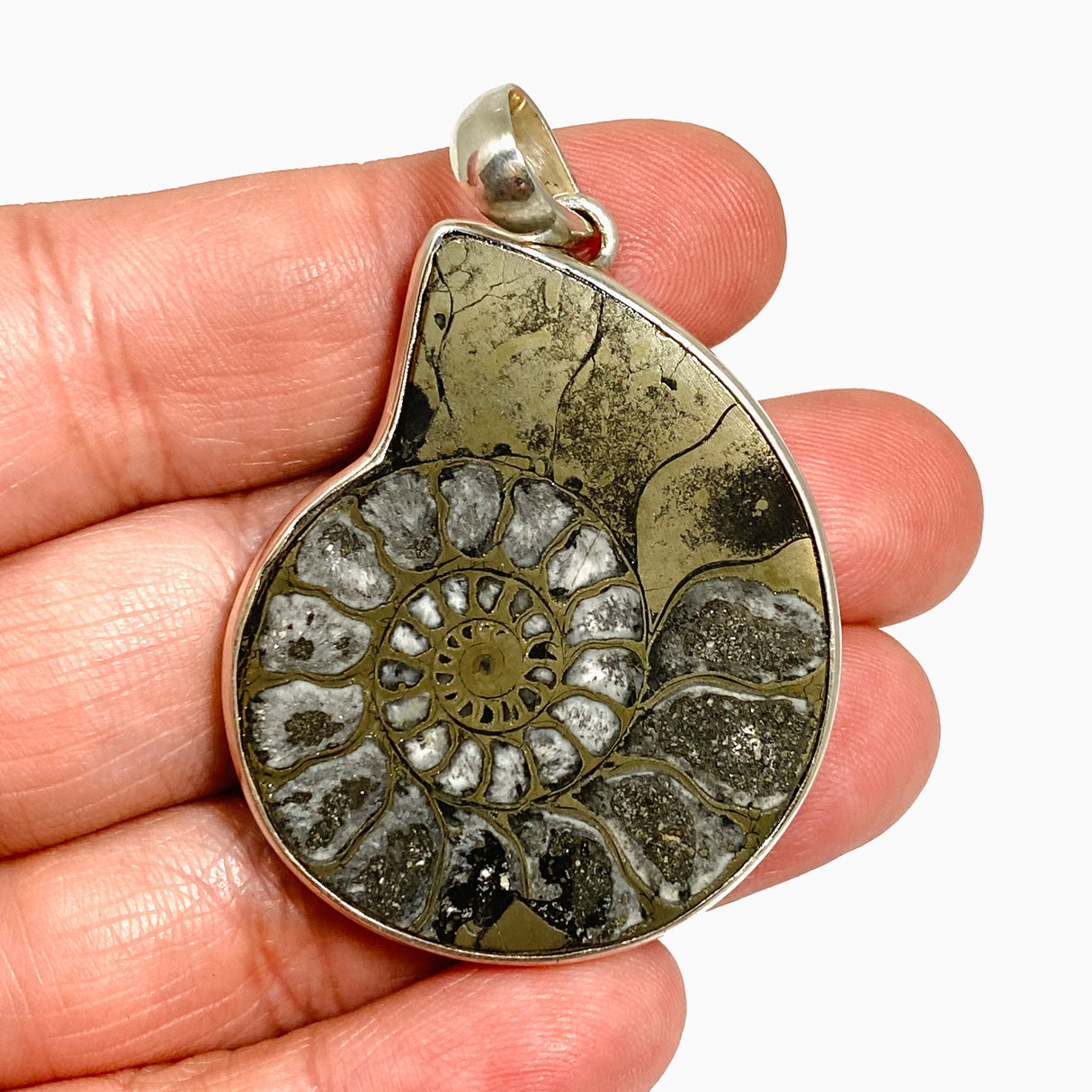 Ammonite Fossilised Shell with Pyrite Freeform Cabochon Pendant PPGJ1325