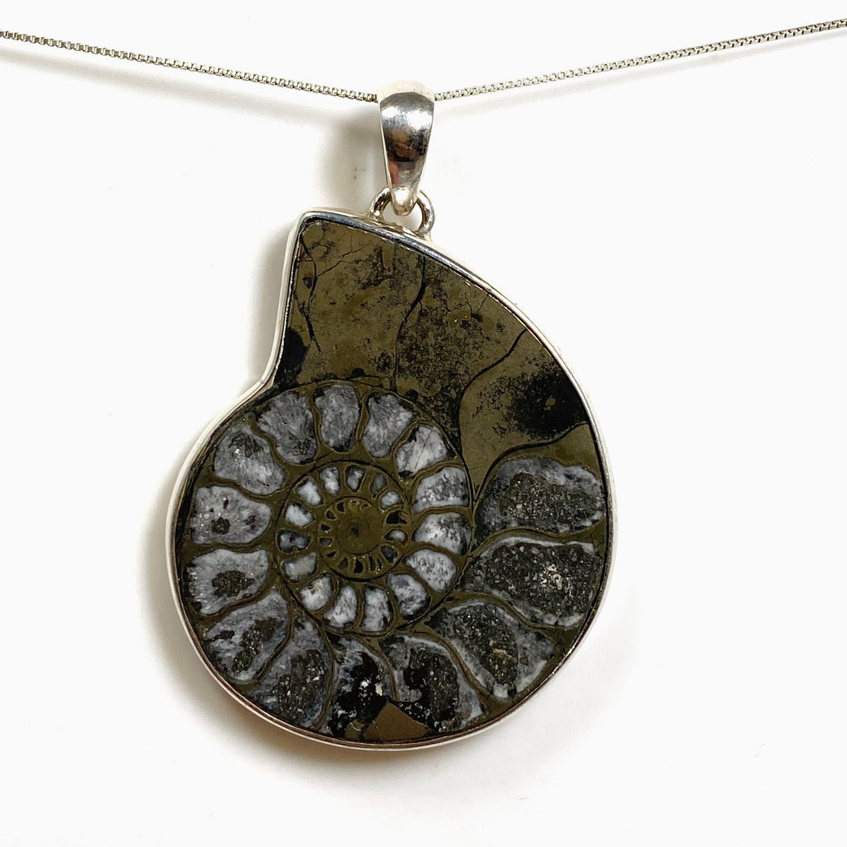 Ammonite Fossilised Shell with Pyrite Freeform Cabochon Pendant PPGJ1325