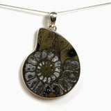 Ammonite Fossilised Shell with Pyrite Freeform Cabochon Pendant PPGJ1325