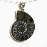Ammonite Fossilised Shell with Pyrite Freeform Cabochon Pendant PPGJ1325