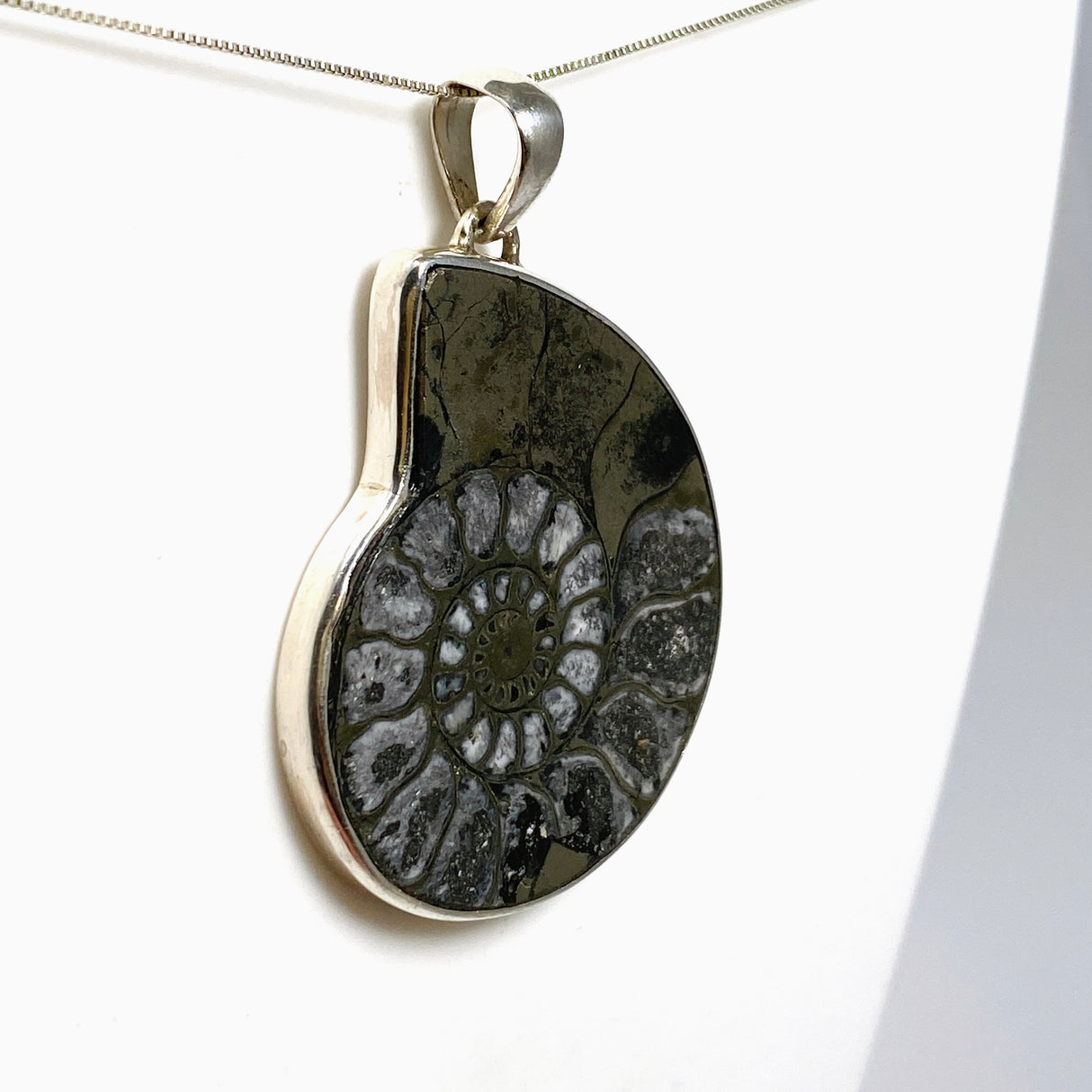 Ammonite Fossilised Shell with Pyrite Freeform Cabochon Pendant PPGJ1325