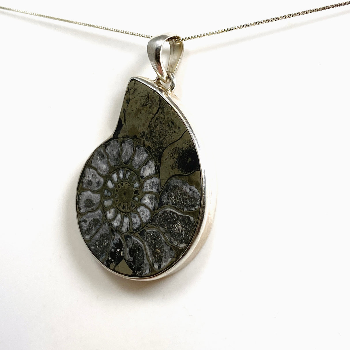 Ammonite Fossilised Shell with Pyrite Freeform Cabochon Pendant PPGJ1325