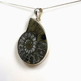 Ammonite Fossilised Shell with Pyrite Freeform Cabochon Pendant PPGJ1325