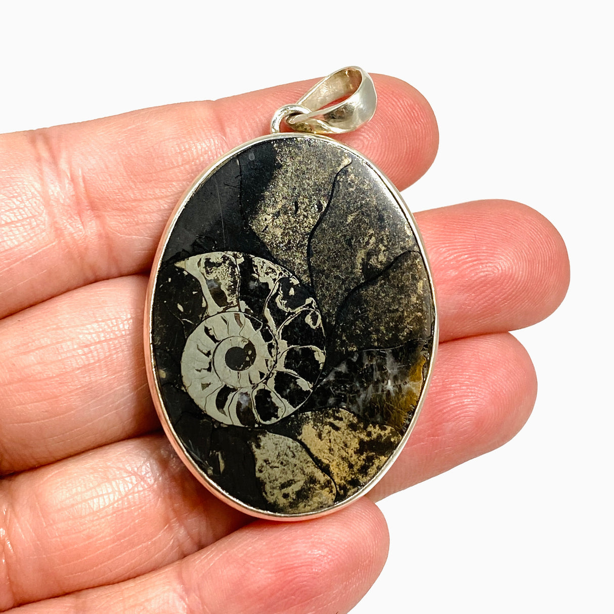Ammonite Fossilised Shell with Pyrite Oval Cabochon Pendant PPGJ1324