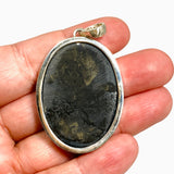 Ammonite Fossilised Shell with Pyrite Oval Cabochon Pendant PPGJ1324