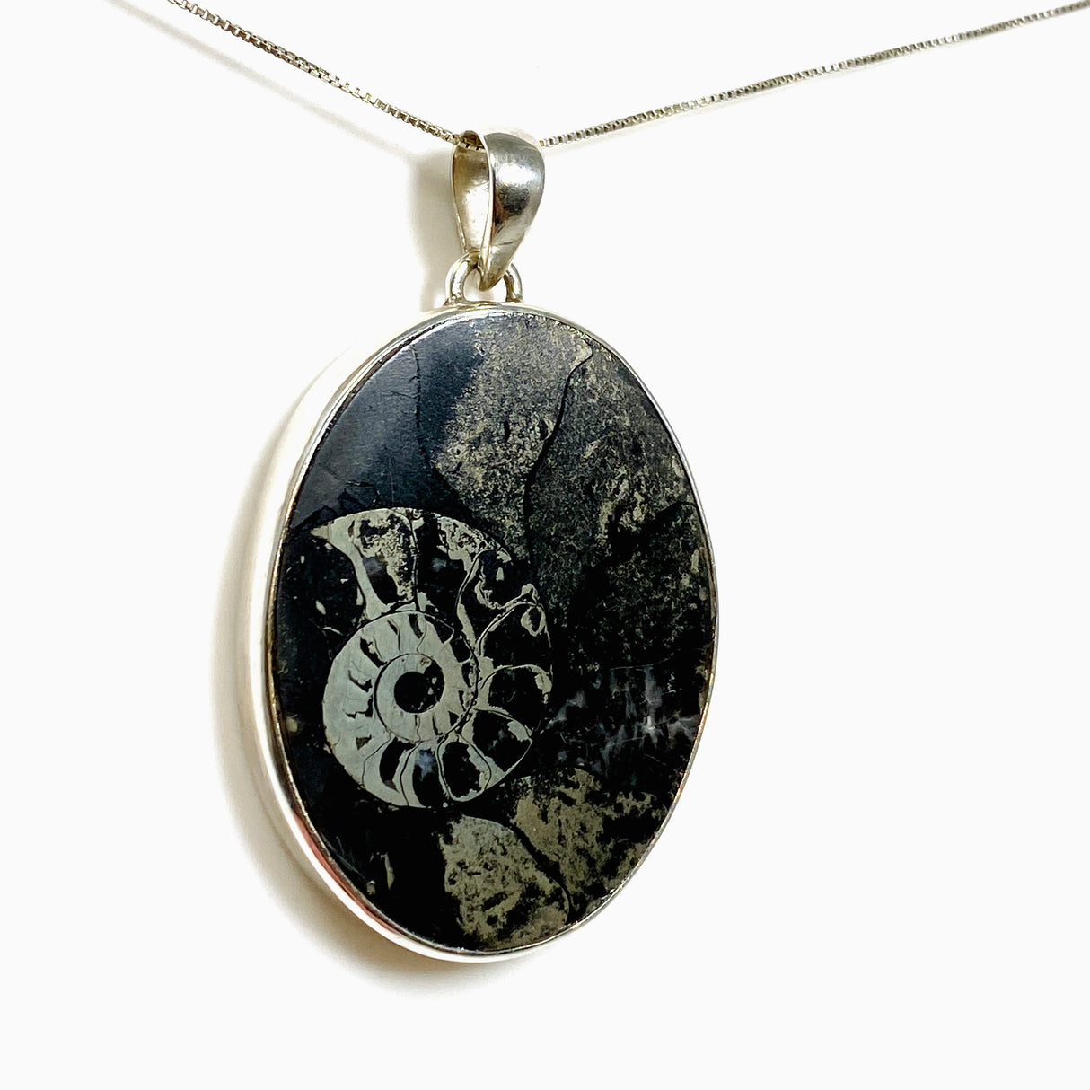 Ammonite Fossilised Shell with Pyrite Oval Cabochon Pendant PPGJ1324