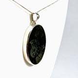 Ammonite Fossilised Shell with Pyrite Oval Cabochon Pendant PPGJ1324