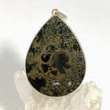 Ammonite Fossilised Shell with Pyrite Teardrop Cabochon Pendant PPGJ1323