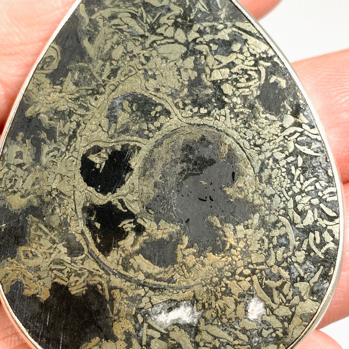 Ammonite Fossilised Shell with Pyrite Teardrop Cabochon Pendant PPGJ1323