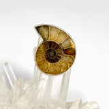 Ammonite Freeform Cabochon Ring Size 12 PRGJ919