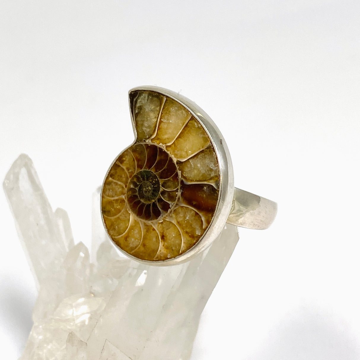 Ammonite Freeform Cabochon Ring Size 12 PRGJ919
