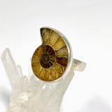 Ammonite Freeform Cabochon Ring Size 12 PRGJ919