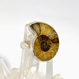 Ammonite Freeform Cabochon Ring Size 12 PRGJ919