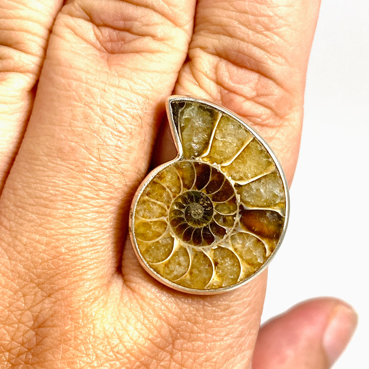 Ammonite Freeform Cabochon Ring Size 12 PRGJ919
