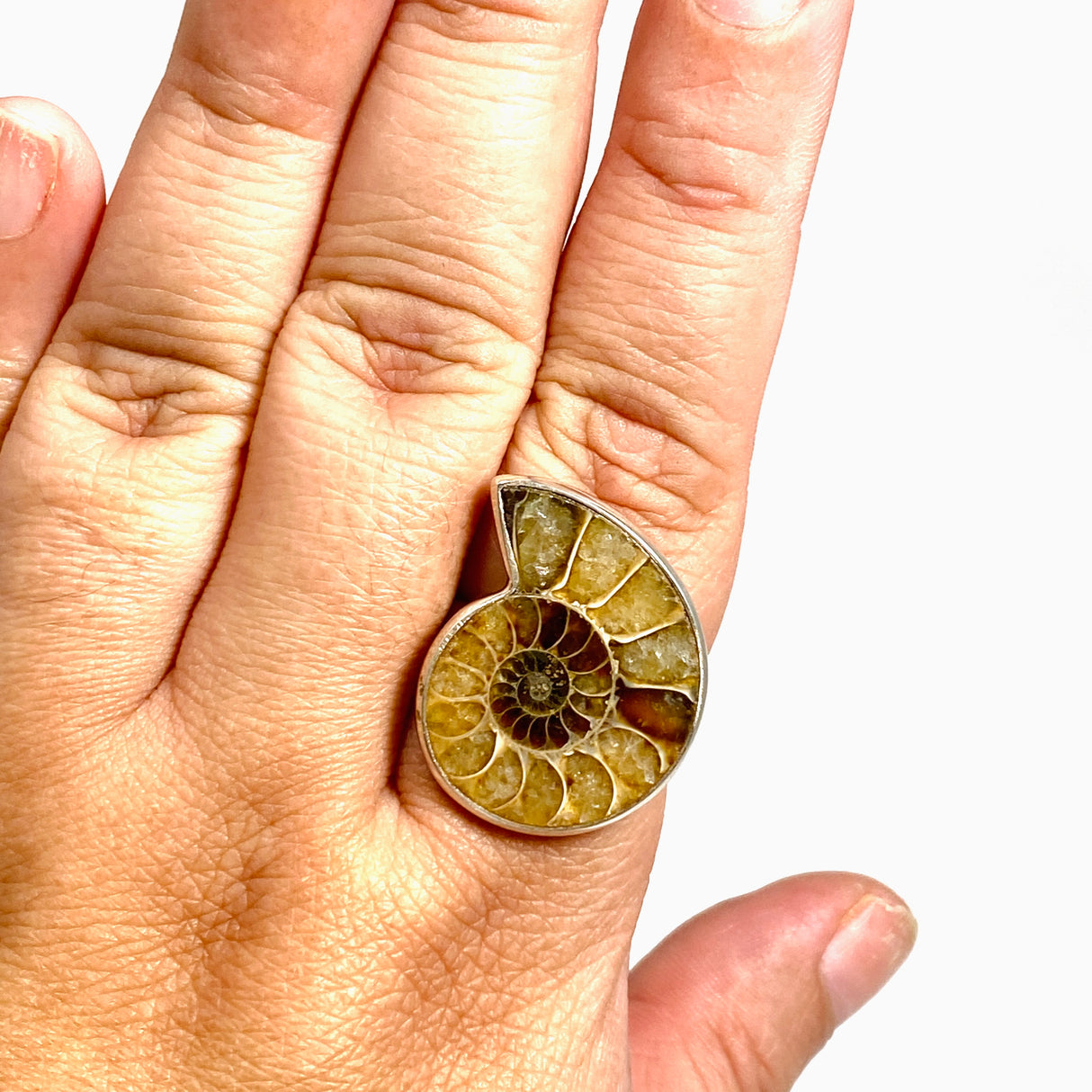 Ammonite Freeform Cabochon Ring Size 12 PRGJ919