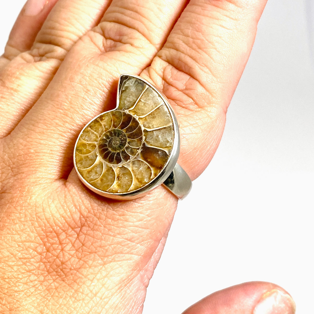 Ammonite Freeform Cabochon Ring Size 12 PRGJ919