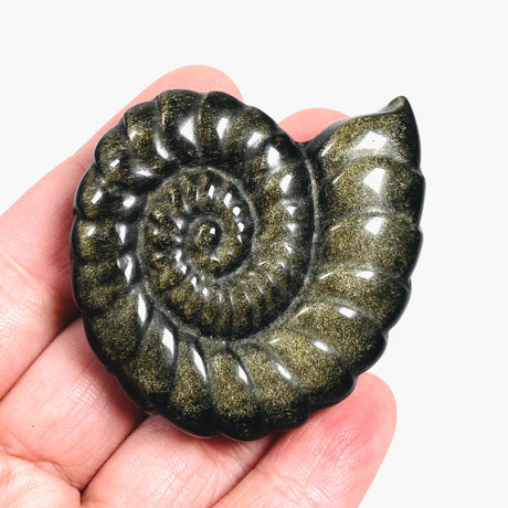 Ammonite gold sheen obsidian carving AMC01 - Nature's Magick