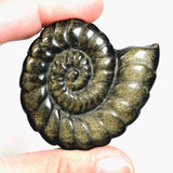 Ammonite gold sheen obsidian carving AMC01 - Nature's Magick