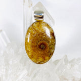 Ammonite oval pendant KPGJ3458 - Nature's Magick