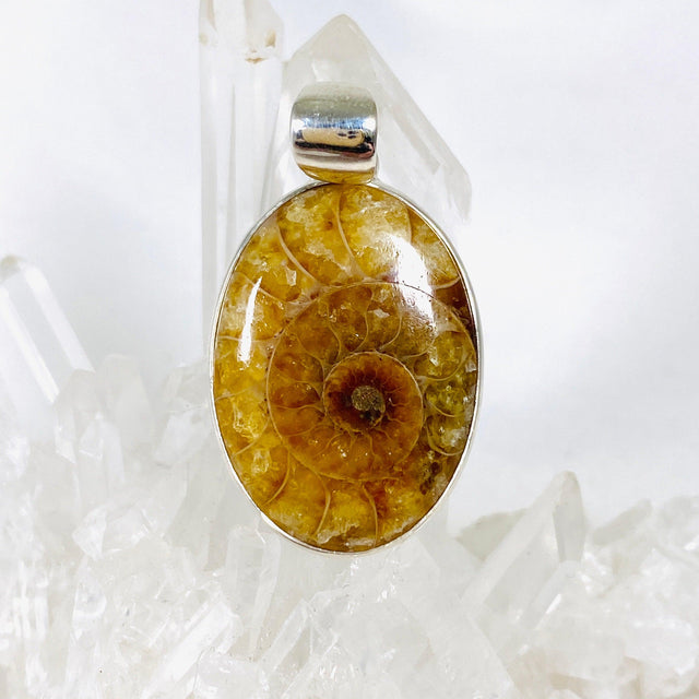 Ammonite oval pendant KPGJ3458 - Nature's Magick