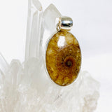 Ammonite oval pendant KPGJ3458 - Nature's Magick