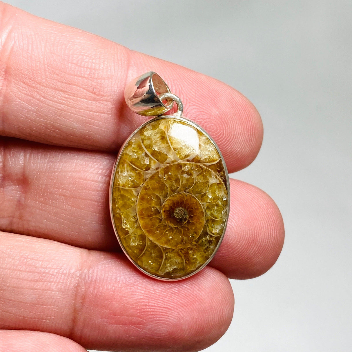 Ammonite oval pendant KPGJ3458 - Nature's Magick