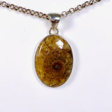 Ammonite oval pendant KPGJ3458 - Nature's Magick