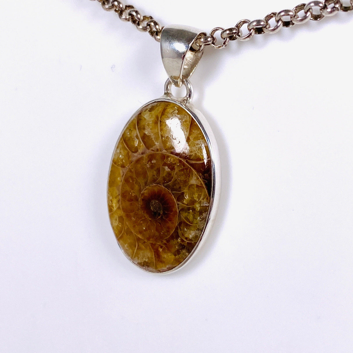 Ammonite oval pendant KPGJ3458 - Nature's Magick