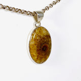 Ammonite oval pendant KPGJ3458 - Nature's Magick