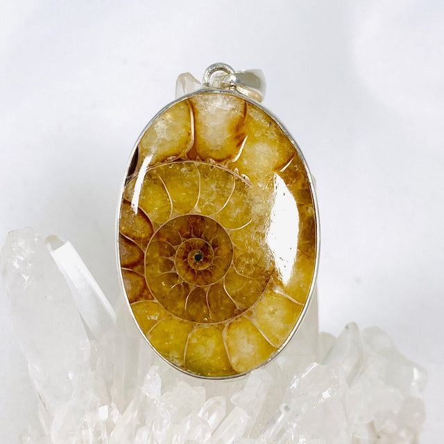 Ammonite oval pendant KPGJ3460 - Nature's Magick