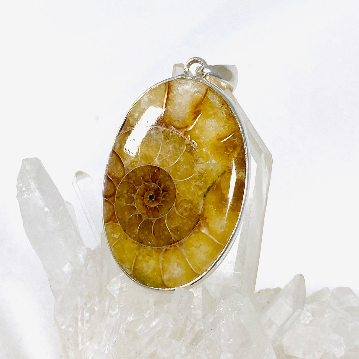 Ammonite oval pendant KPGJ3460 - Nature's Magick