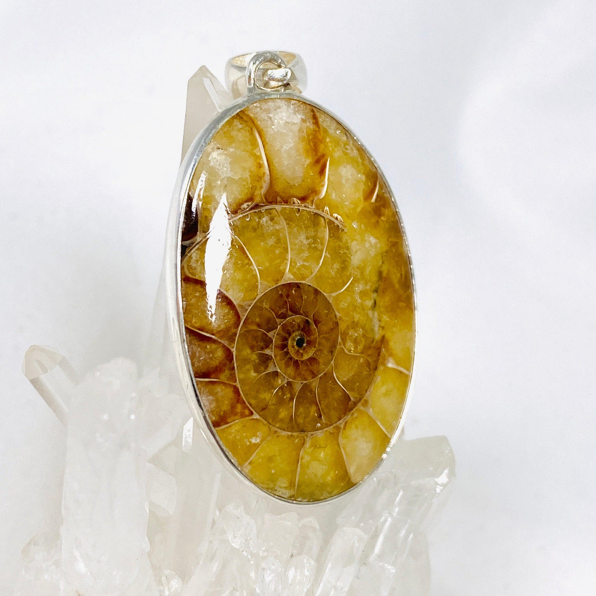 Ammonite oval pendant KPGJ3460 - Nature's Magick