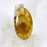 Ammonite oval pendant KPGJ3460 - Nature's Magick