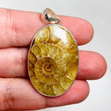 Ammonite oval pendant KPGJ3460 - Nature's Magick