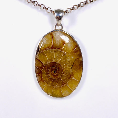 Ammonite oval pendant KPGJ3460 - Nature's Magick