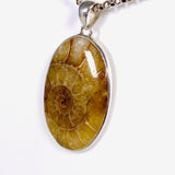 Ammonite oval pendant KPGJ3460 - Nature's Magick