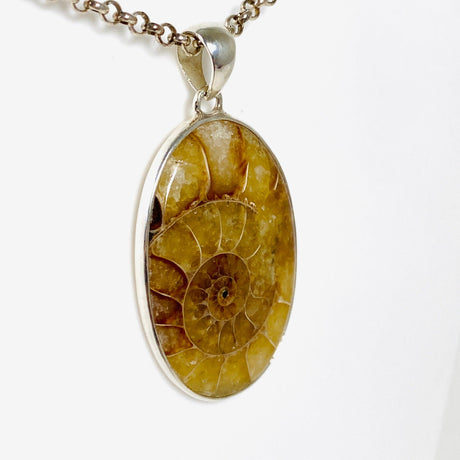 Ammonite oval pendant KPGJ3460 - Nature's Magick