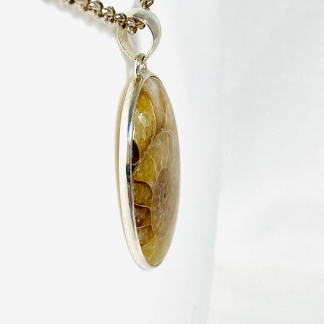 Ammonite oval pendant KPGJ3460 - Nature's Magick