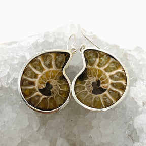 Ammonite Shell Earrings E2620-MED - Nature's Magick