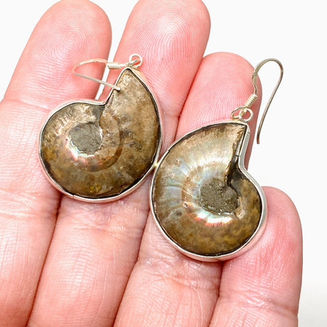 Ammonite Shell Earrings E2620-MED - Nature's Magick