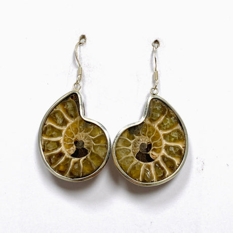 Ammonite Shell Earrings E2620-MED - Nature's Magick