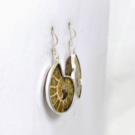 Ammonite Shell Earrings E2620-MED - Nature's Magick