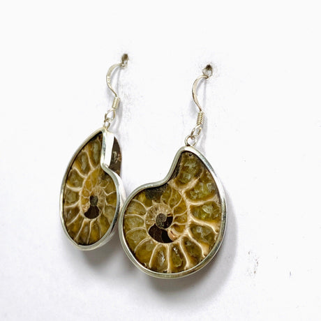 Ammonite Shell Earrings E2620-MED - Nature's Magick