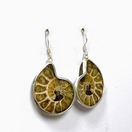 Ammonite Shell Earrings E2620-MED - Nature's Magick