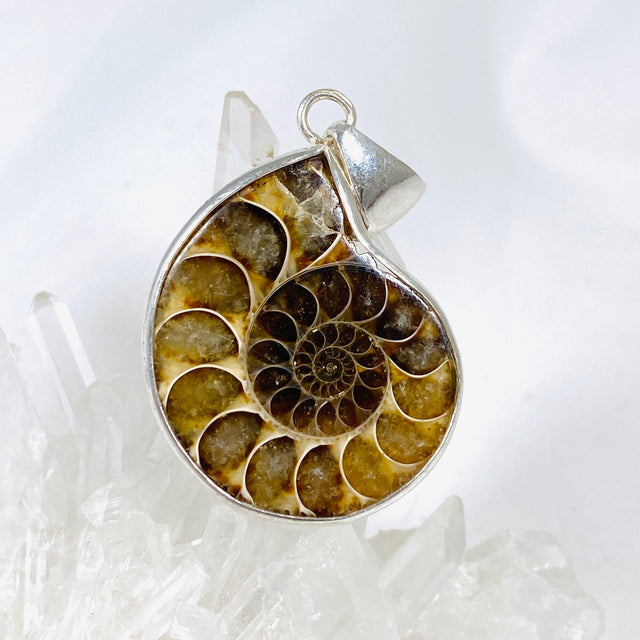 Ammonite shell pendant KPGJ3456 - Nature's Magick