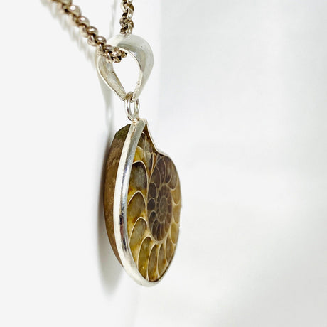 Ammonite shell pendant KPGJ3456 - Nature's Magick