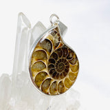 Ammonite shell pendant KPGJ3456 - Nature's Magick